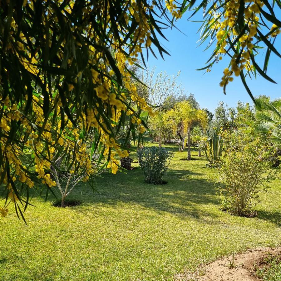 Riad Les Deux Citronniers Marrakesh Eksteriør bilde