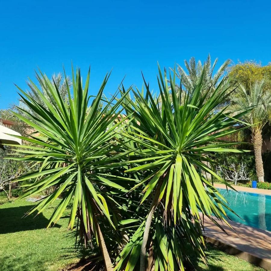 Riad Les Deux Citronniers Marrakesh Eksteriør bilde