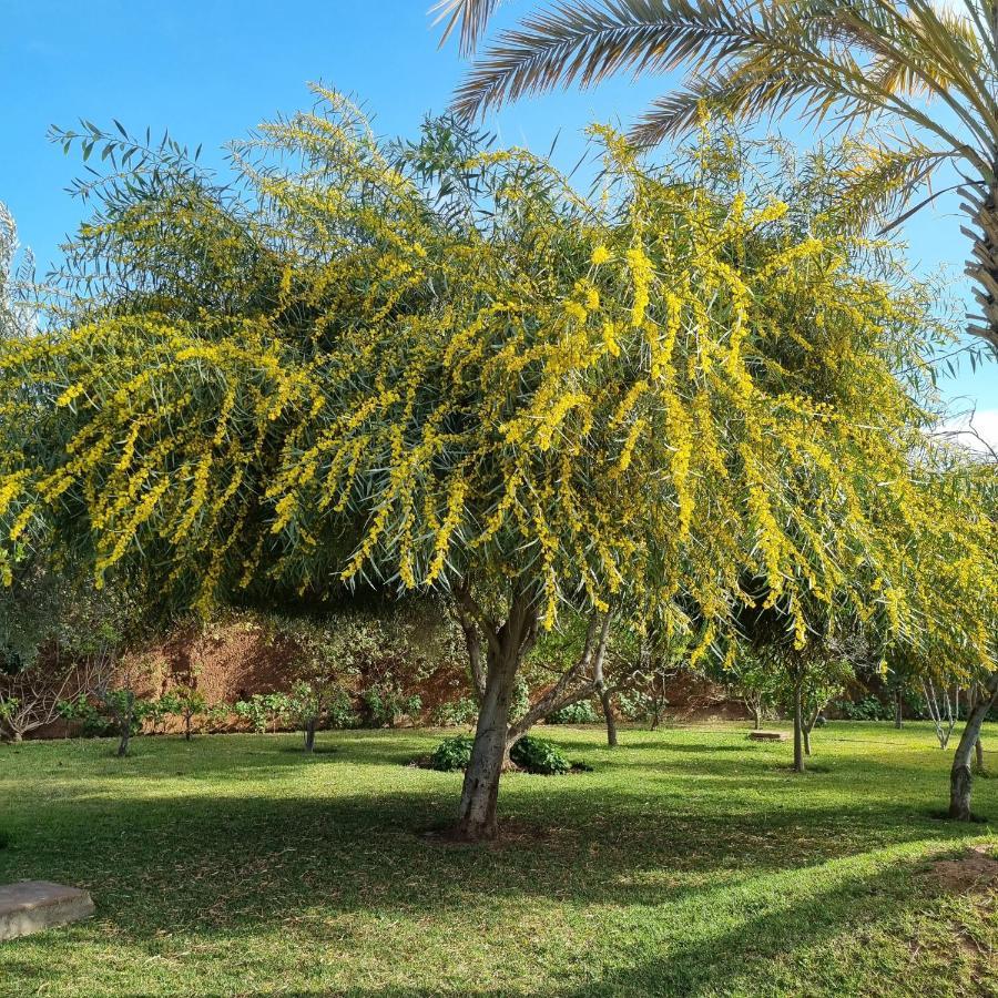 Riad Les Deux Citronniers Marrakesh Eksteriør bilde