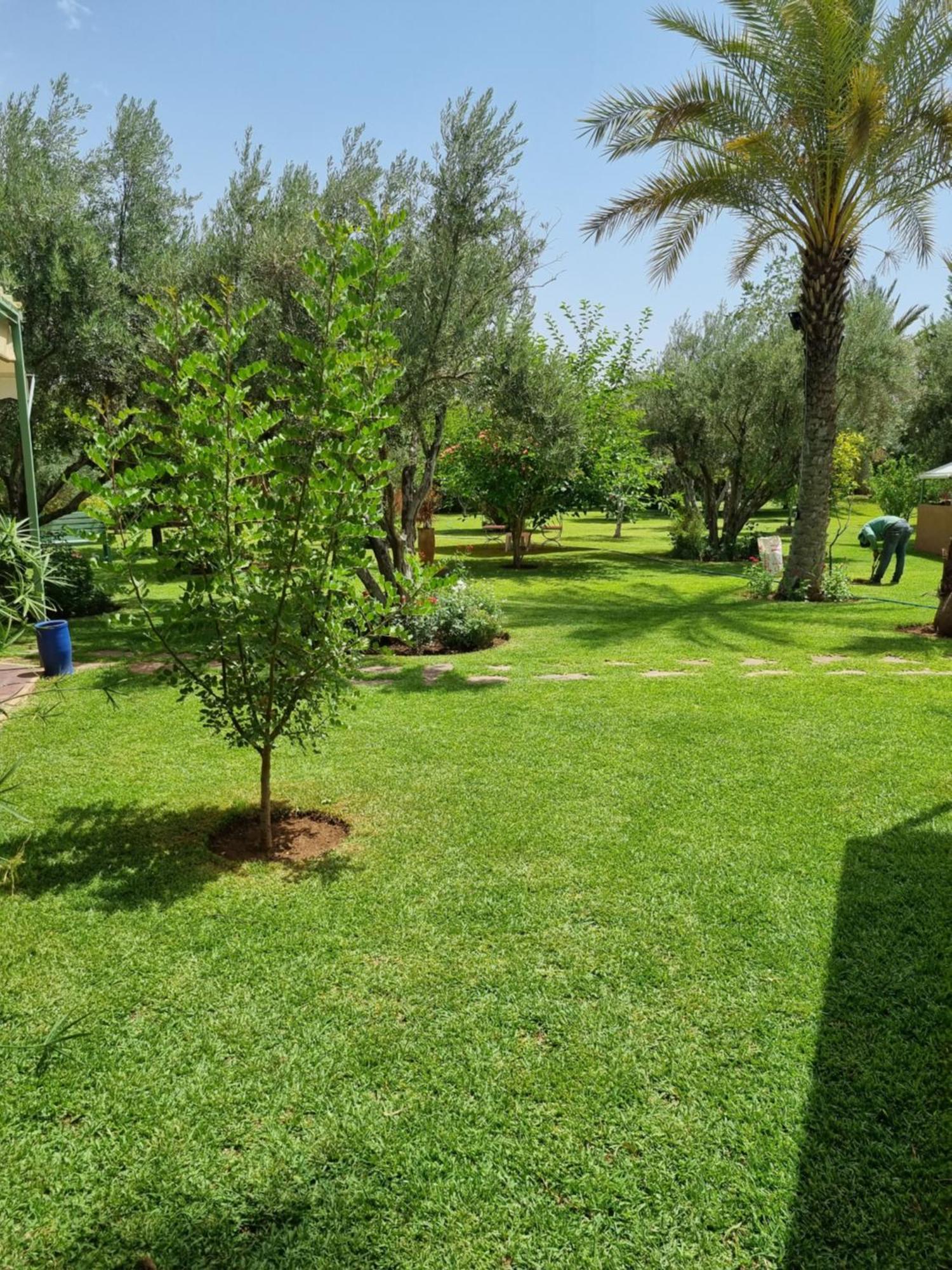 Riad Les Deux Citronniers Marrakesh Rom bilde